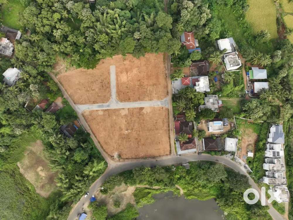 Well developed house plots at Thathamangalam muncipality
