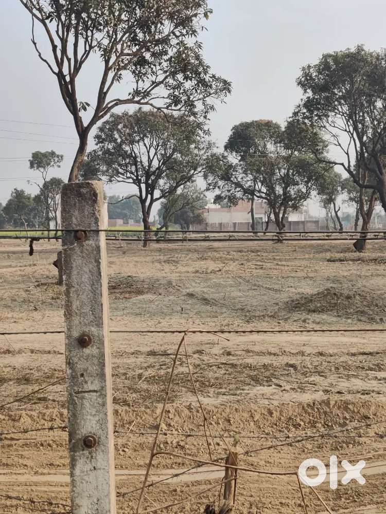 1000-3000sqft plot. Chark medical institute ke piche commercial bhi h