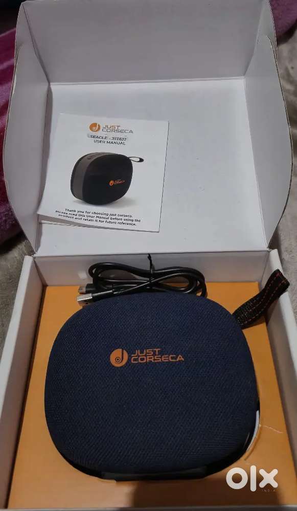 Just corseca speaker 30w