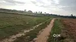 Farm land 3 acres 5 cent