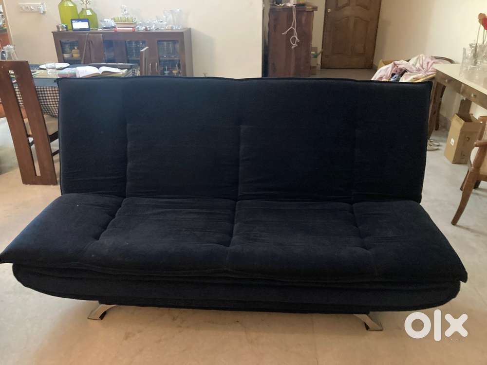 Wake fit Sofa cum bed