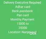 Delivery Executive