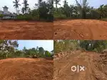Urgent 20 Cent plot on Sale
