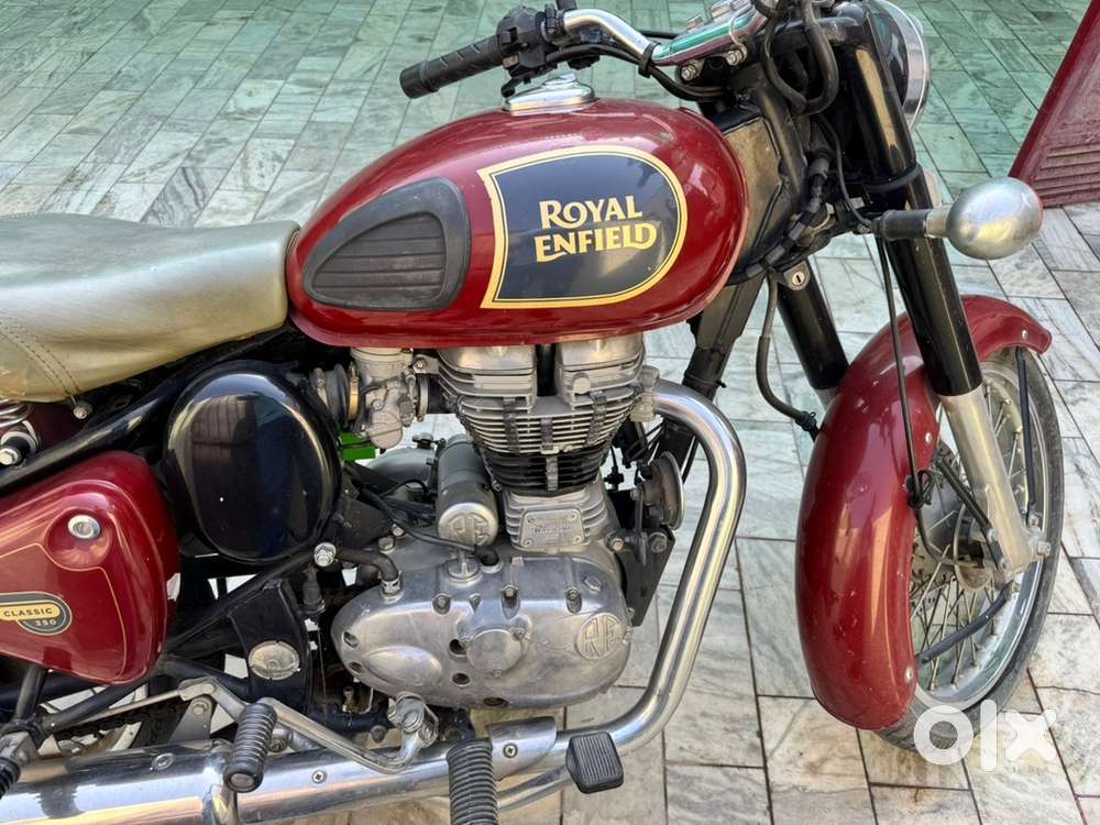 Chestnut, well maintained