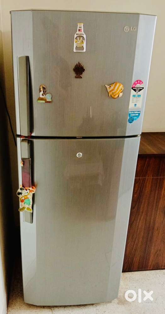 LG fridge two door