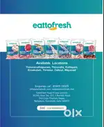 Marketing cum sales staff - frozen section