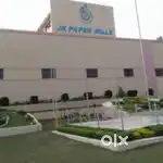 Jk paper pvt ltd