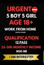Person Graduate in any stream apply for requirement