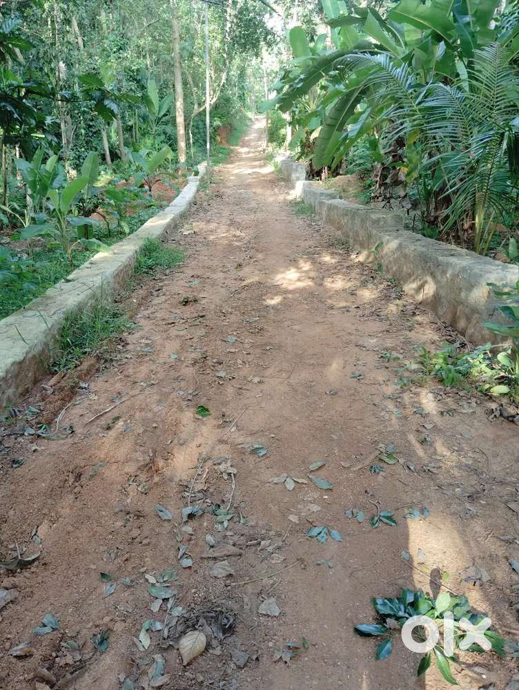 12 Cent land for sale