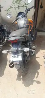 Honda hornet