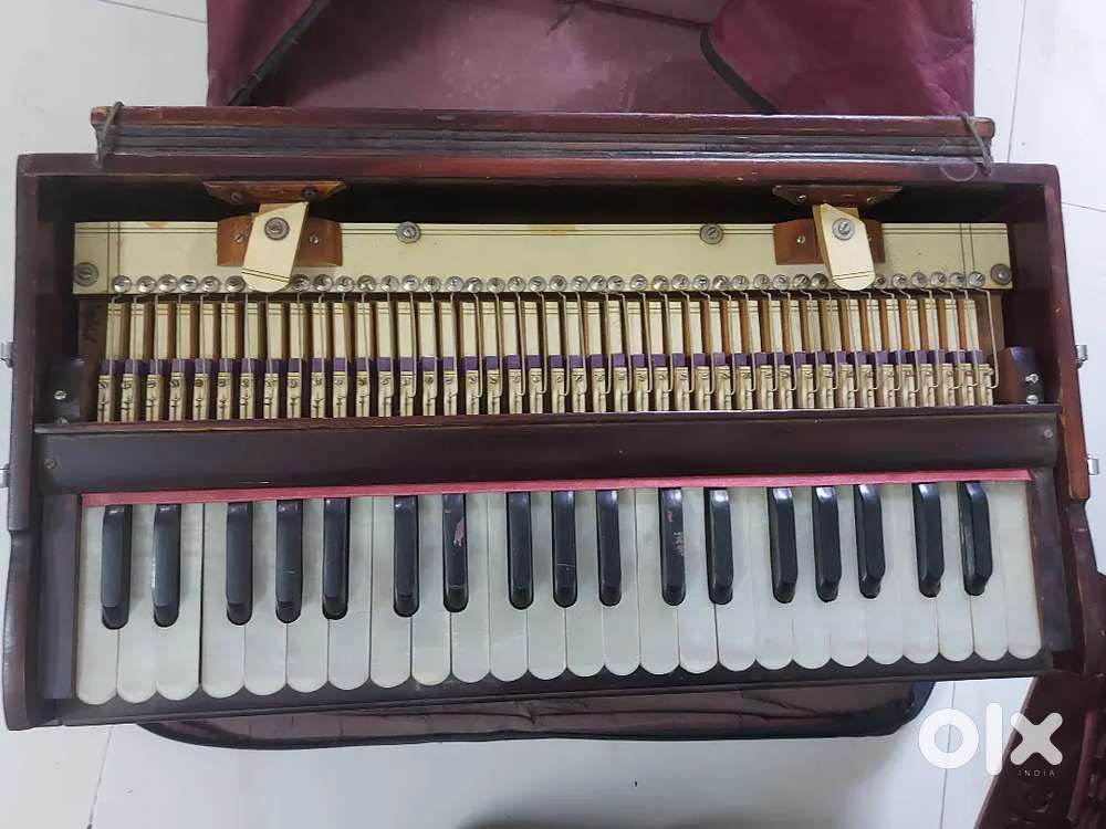 Harmonium(classical instrument)