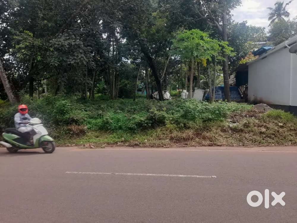 25 CENT. NS HOSPITAL ROAD, AT PALATTARA,, KOLLAM.