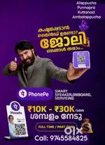 Phonepe DFSO and Freelance