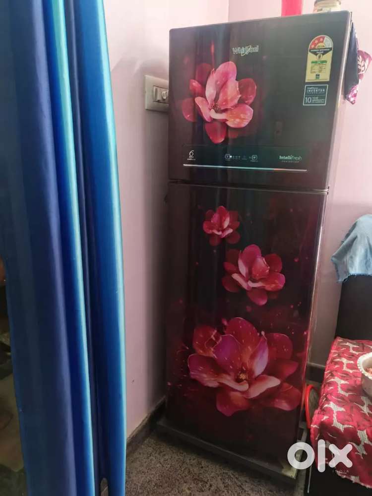 Double door fridge in good condition