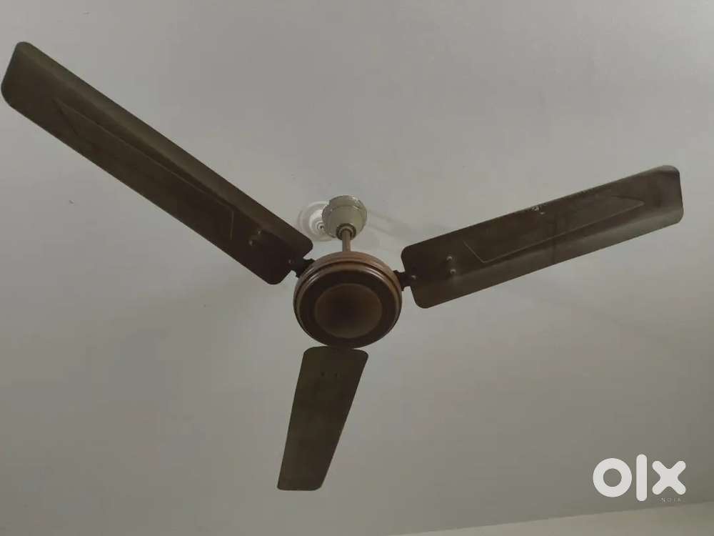 Ceiling fan, good condition , maintained by boys