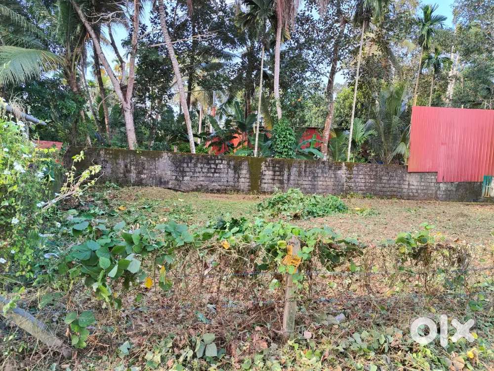 Prime 7.34 Cent Residential Plot Near MG UNIVERSITY, just 1 km away