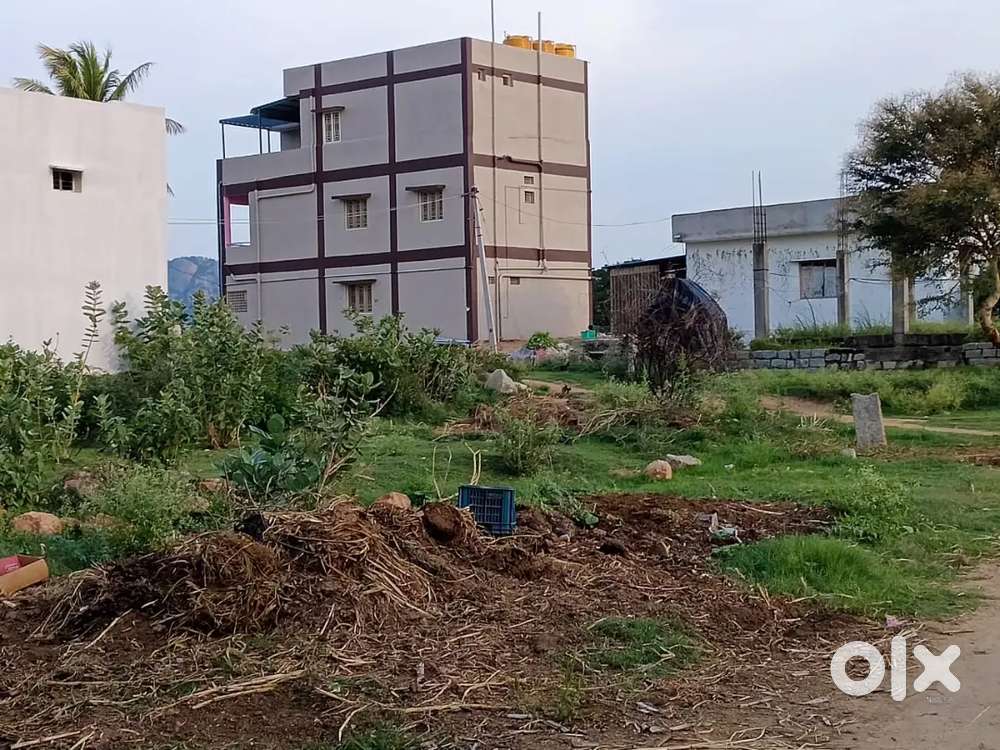 Plot For Sale
