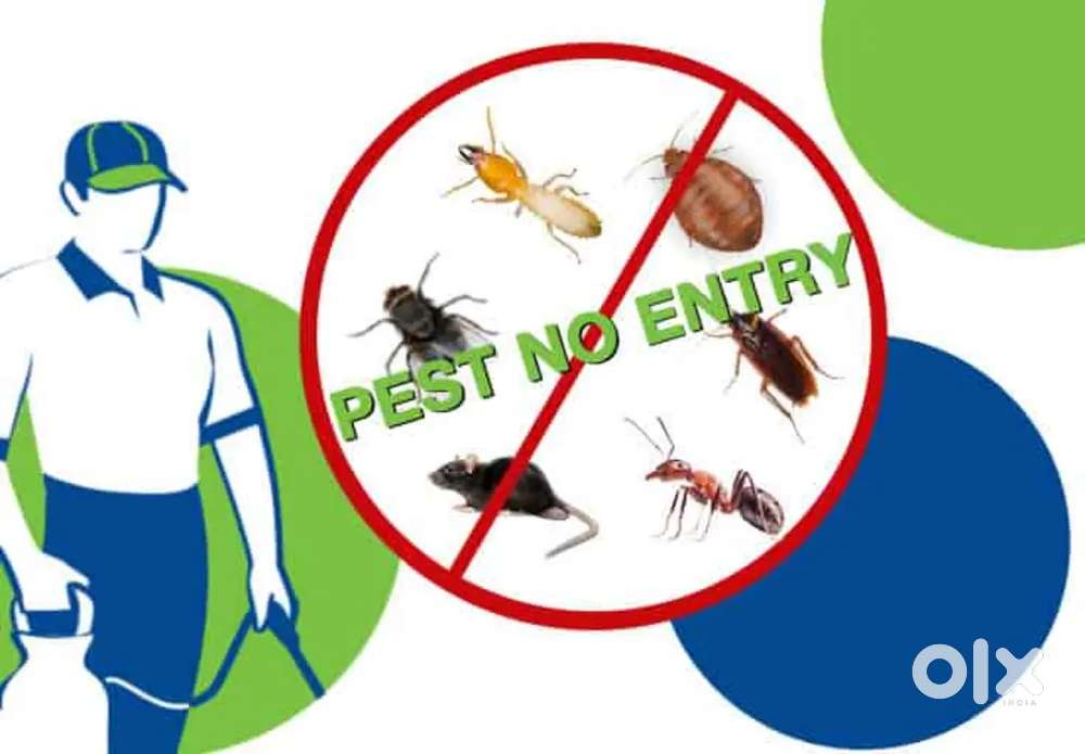 ALL TYPES OF PEST CONTROL SERVICES DONE WITH LOWPRICE AND WARRANTY