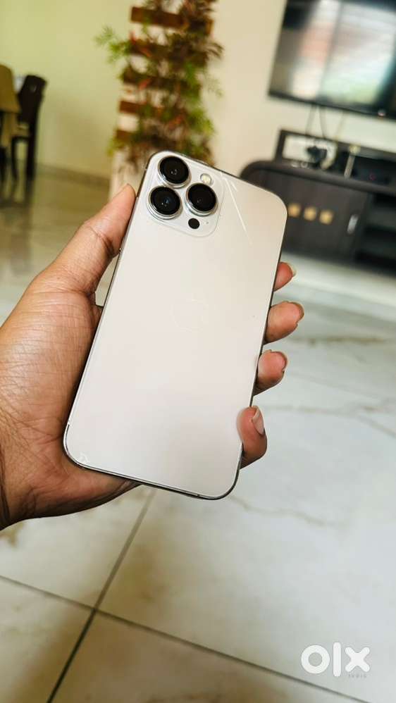 iphone 13 pro max 256gb