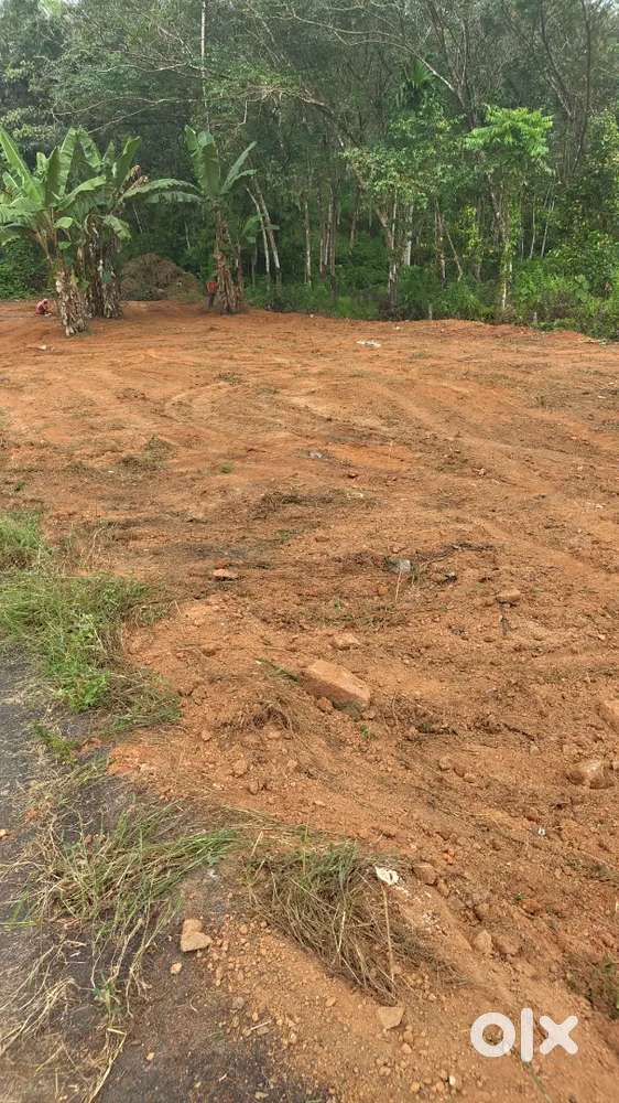 കൊട്ടാരക്കര ഏരിയയിൽ വസ്തുക്കൾ വില്പനക്ക്