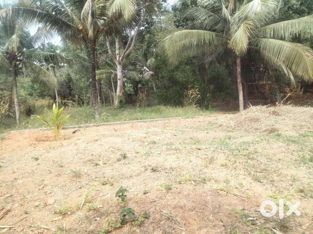 plots for sale in vedivechankoil, balaramapuram,Thiruvananthapuram
