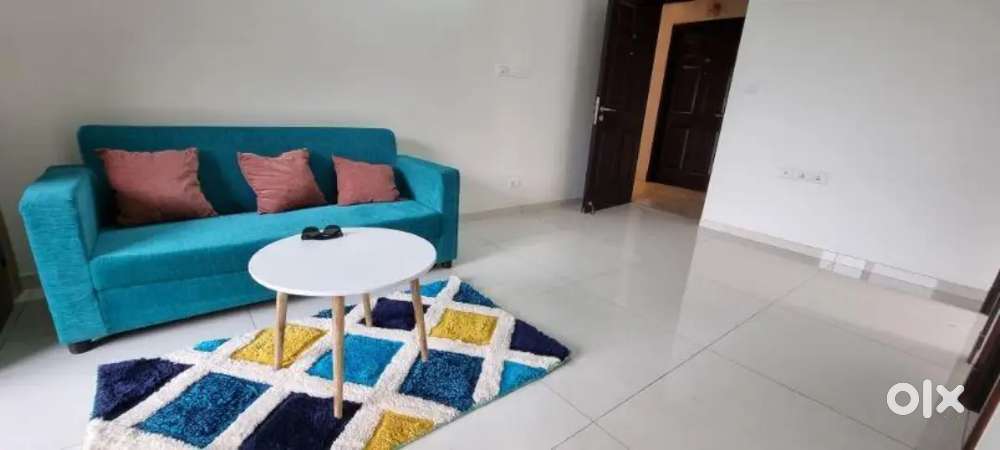 Full furnished flat for sale at dhantoli