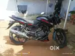 Brand new pulsar