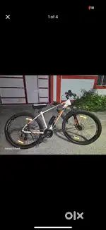 Raleigh misceo 2.0