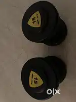 2 x 15 kg dumbbells