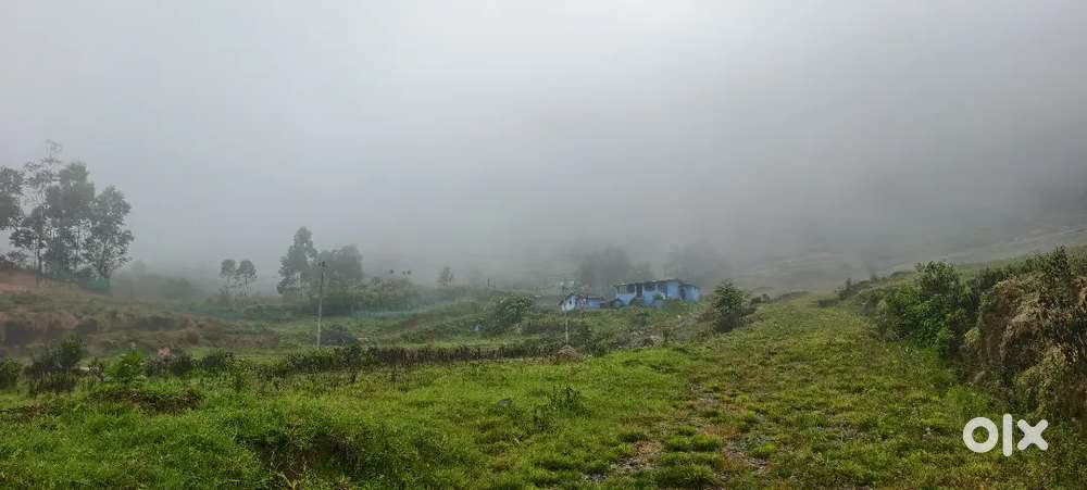 Panoramic View Land for Sale at Vattavada - 84 cents