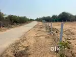 Near Gajwel,BT Road BIT,25 Guntas agricuture land for sale