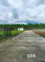 Plots For Sale (Only 25 min Far From Dehradun ISBT)