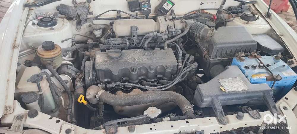 rajkot ma jova malse