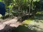 5 sent plot