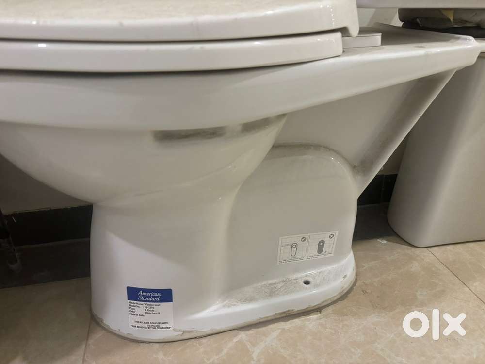 Western toilet closet