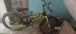 Brand new bicle