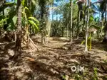 35 cent land at 75000 /cent in iyyad , veeryambram,Calicut district