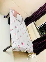 Iron Cot with plywood