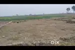 Plot, Near rat gaon (36.5'x50'), 24 ft road