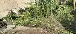 Ajitpur haridwar laksar road market se 300 m  plot saste bhao me