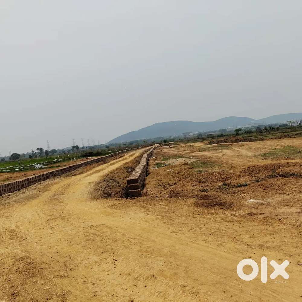 Plot for sale near khordha pitapalli mukunda prasad