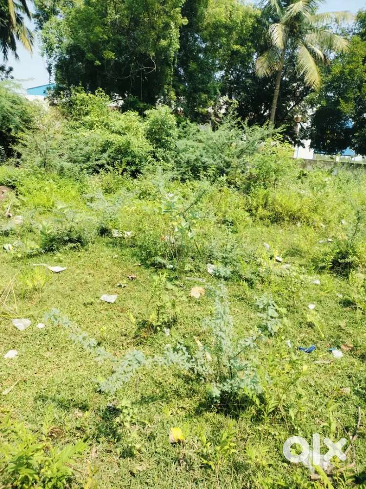 2100 sq.ft Residential Plot for Sale in Gnanam Nagar, Thanjavur