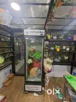 Visi cooler 510 ltr