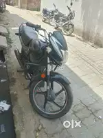 New lena hai