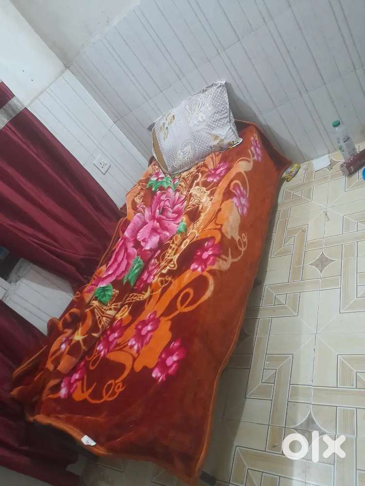 boys and girls student free wi fi Ro home atmosphere hygiene food