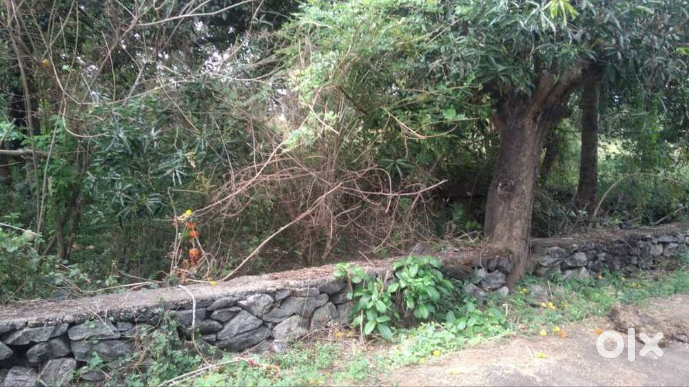 15 cent Land for sale in Chembukkavu,Thrissur