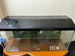 3 Feet Fish Tank And Acrylic Top Cover