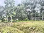 24cent Property with a surrounding wall
