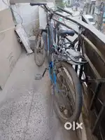 Neelam cycle