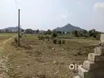 1800 sft/ 20 hata Plot near SSVM, Hinjilicut, Ganjam, Odisha